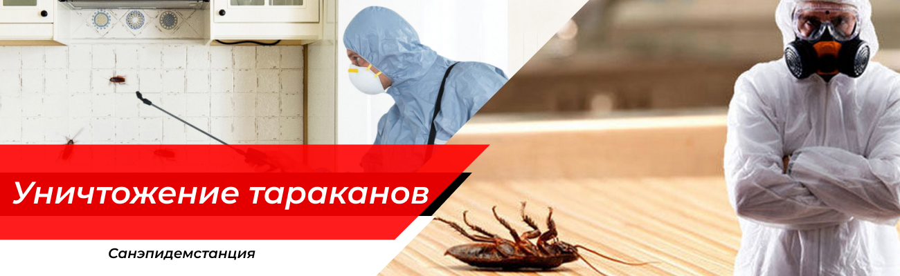 Уничтожение тараканов Обнинск